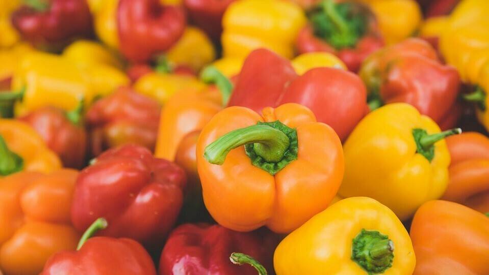 peppers-2786684_960_720|BIOCHAR